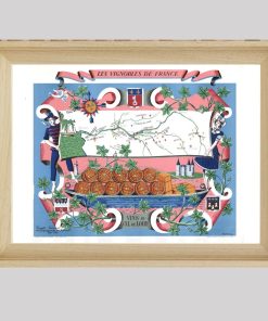Affiche Vignoble France Val Loire
