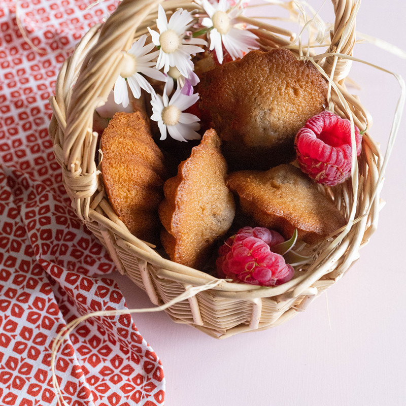 Jeannette, Madeleines Framboise (10) – Image 3