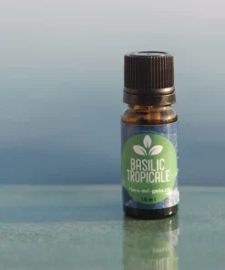 Basilic tropical